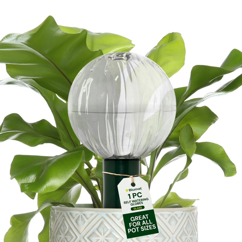 Blumat Glass Plant Self Watering Globes,Automatic Houseplant Drip Irrigation for Indoor Plants, Hanging Plants, Houseplants, Plant Garden Accessories,Vacation Plant Savers,Large Globe Small Adapter - Image 2